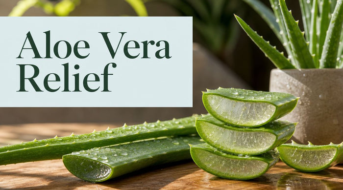 Aloe Vera Benefits for Skin, Healing, and Relief