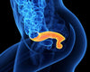 Hemorrhoids vs Anal Fissures: Differences & Treatments