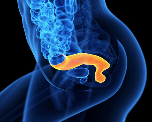 Hemorrhoids vs Anal Fissures: Differences & Treatments