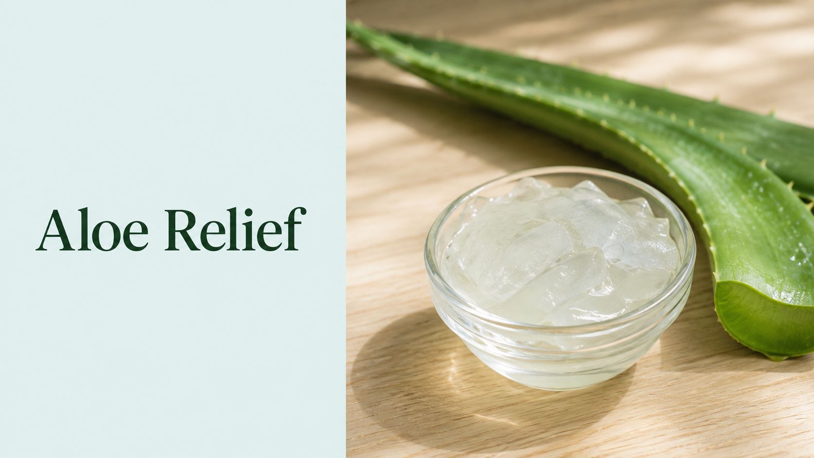 Does Aloe Vera Reduce Swelling? a Practical Guide