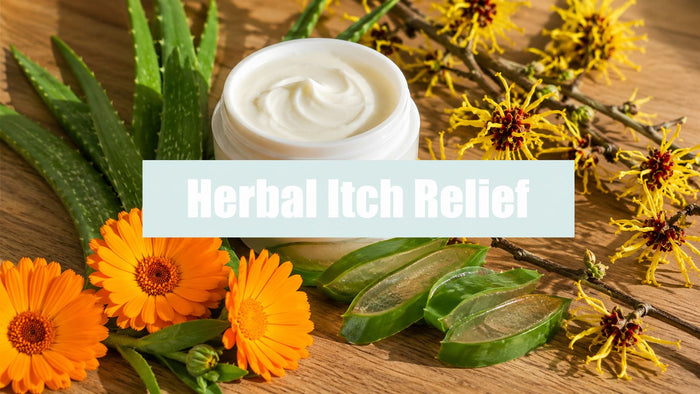 Your Guide to Itch Relief Herbal Cream