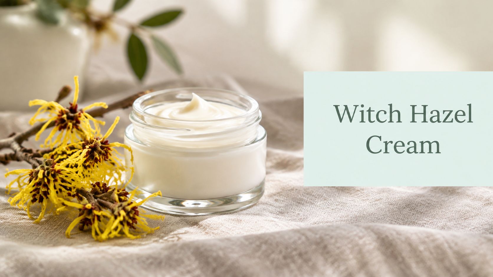 Witch Hazel Cream for Hemorrhoids: What It Actually Does